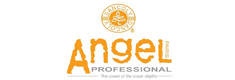Angel Professional Paris