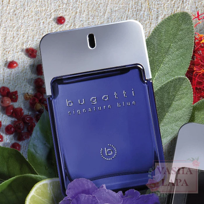 Парфюмированная вода для мужчин Bugatti Signature Blue